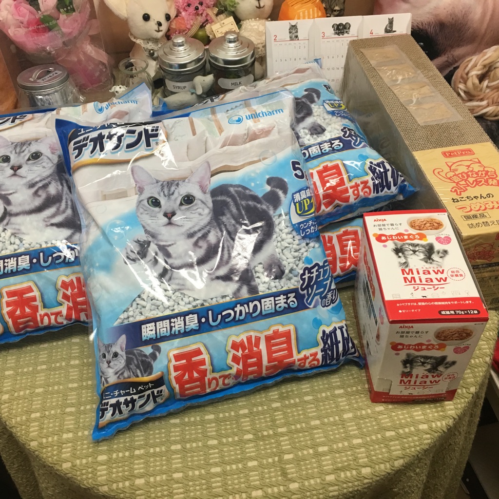 支援物資をいただきました💑いつも本当にありがとうございます🙇今日のニャンコキャスト🐱